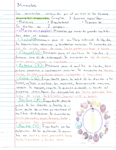 Resumen-Minerales.pdf