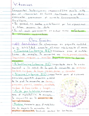 Resumen-Vitaminas.pdf