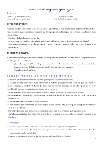 TEMA-7.pdf