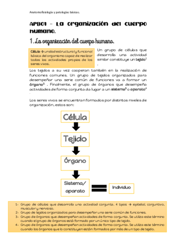 APB01-RESUMEN.pdf