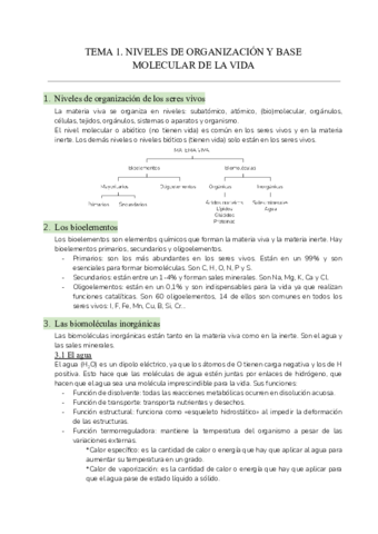 Tema-1.pdf