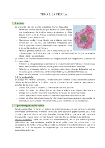 Tema-2.pdf