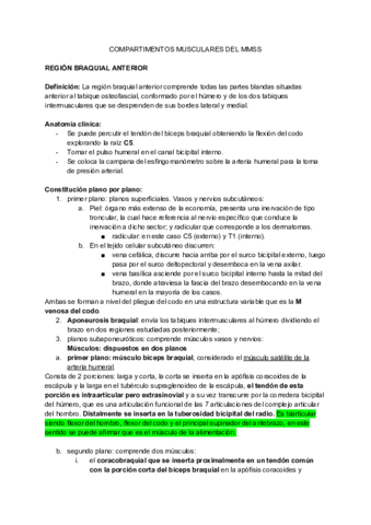 COMPARTIMENTOS-MUSCULARES-DEL-MMSS.pdf