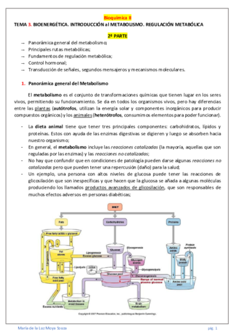 BQ-II-Temas-3-7.pdf