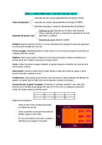 Apuntes-voley.pdf