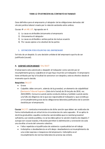 Tema-12-laboral-Extincion-.pdf
