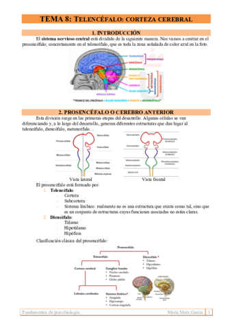 TEMA 8. Corteza cerebral