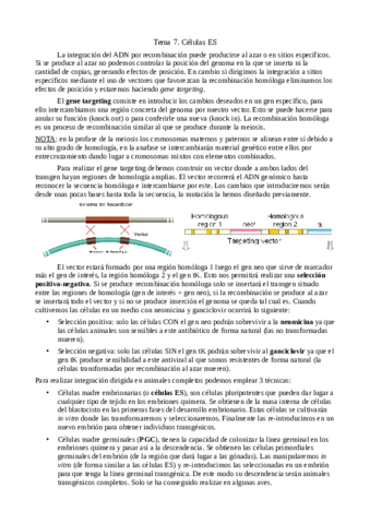 Tema-6-2-celulas-ES.pdf