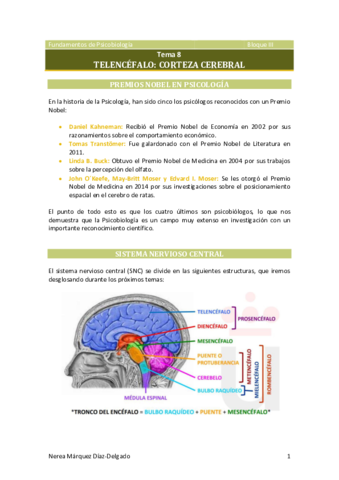 Tema-8-Telencefalo.pdf