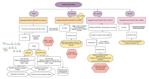 HOMOPOLISACARIDS.pdf