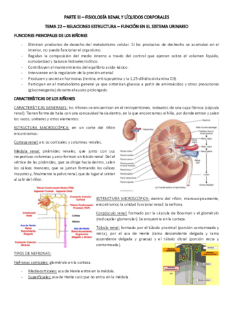 TEMA-22.pdf