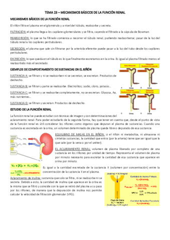 TEMA-23.pdf