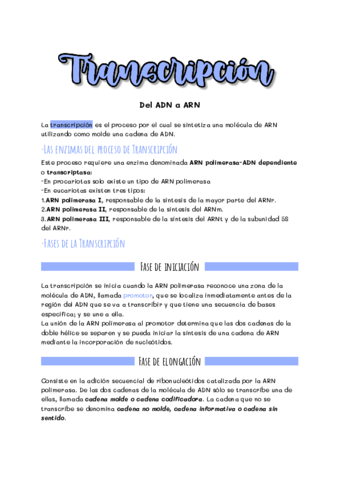 Transcripcion-resumen-Andrea-Delgado-BMC-1.pdf