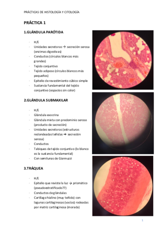 PRACTICAS-CITOLOGIA.pdf