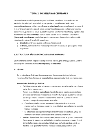 TEMA-2.pdf