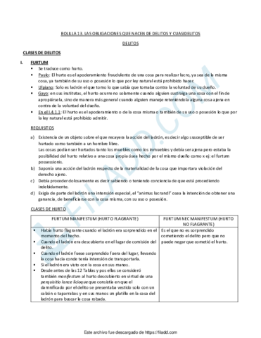 BOLILLA-13.pdf