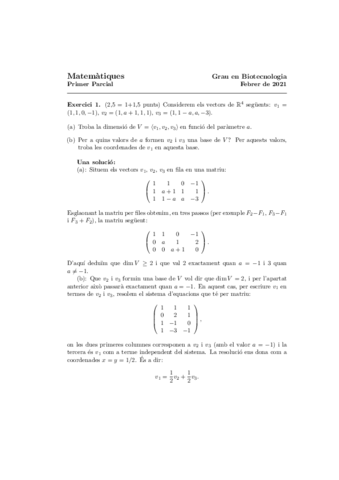 Solex1primerparcial.pdf