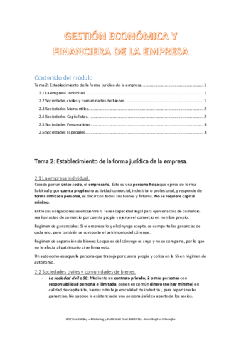 Tema-2-Resumen-GEFE.pdf