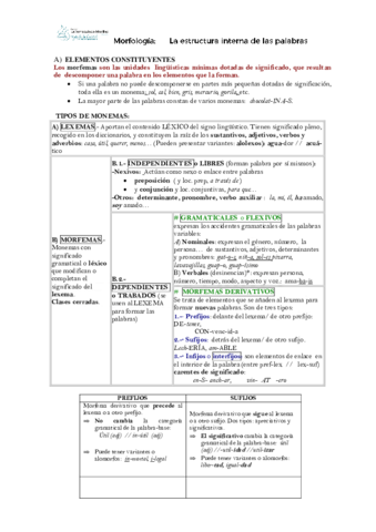 Morfologia-interna-para-2o-.pdf