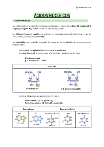 TEMA-5-Acidos-nucleicos-.pdf