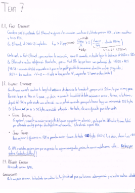 Apuntes T7.pdf