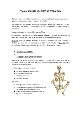 Tema-4-ANATOMIA-Aparato-locomotor-osteologia.pdf
