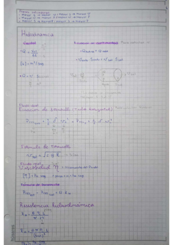 Biofisica-Hidrodinamica-Nutricerebrito.pdf