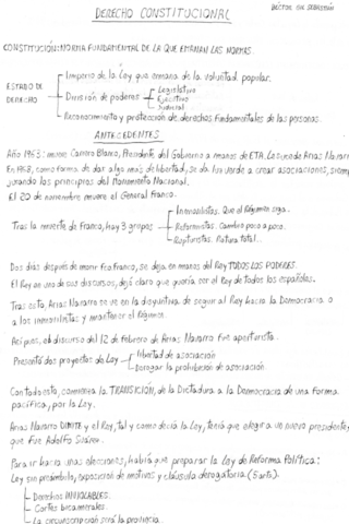 Apuntes de Derecho Constitucional I.pdf