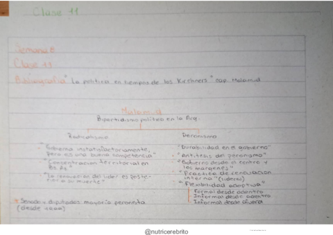 ICSE-Clase-13-Nutricerebrito.pdf