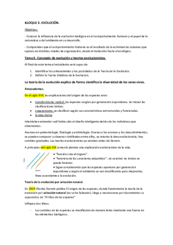BLOQUE-3-tema-6-7-y-8.pdf