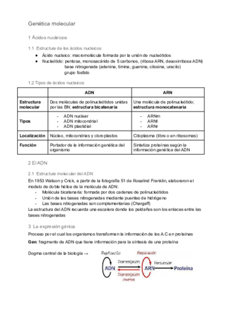Resumen-2.pdf