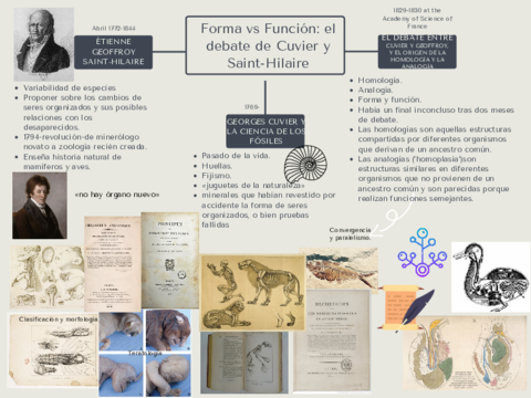 GonzalezRFormavsFuncion.pdf