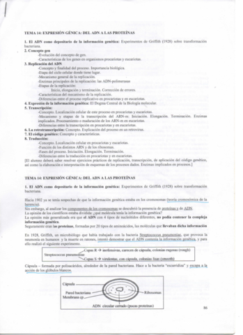 GENETICA-1o.pdf