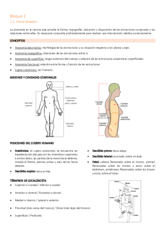 Anatomia-Bloque-1-.pdf