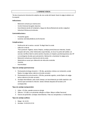 RESUMEN-PRACTICAS-ADULTO.pdf