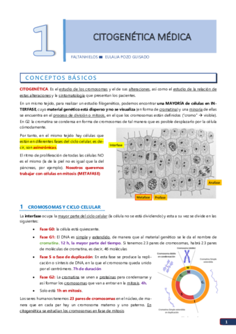 1-Citogenetica-medica.pdf