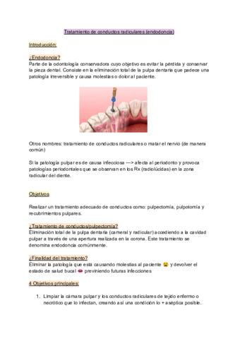 Conservadora-T2.pdf