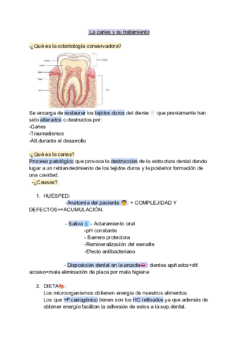 Conservadora-T1.pdf