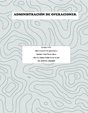 TAREA-AP.pdf