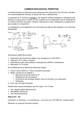 T20.pdf