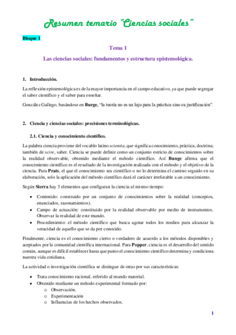 Resumen-temario.pdf