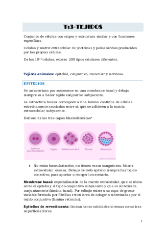 anatomia-T3.pdf