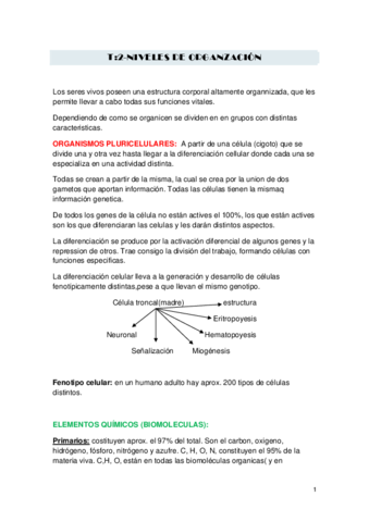anatomia-T2.pdf