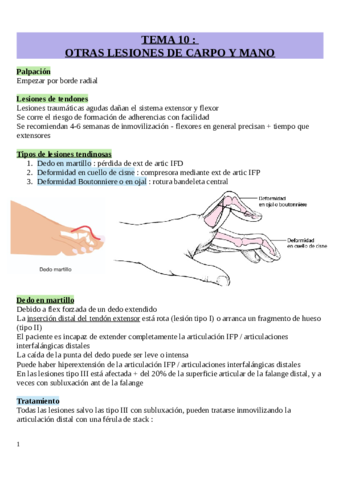 TEMA-10-otras-lesiones-carpo-y-mano.pdf