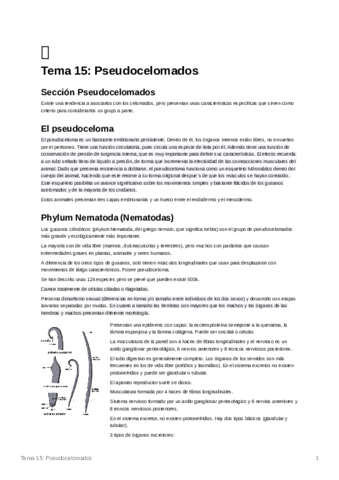 Tema15Pseudocelomados.pdf