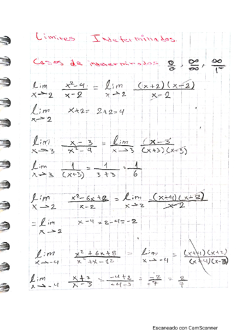 limites-indeterminados.pdf