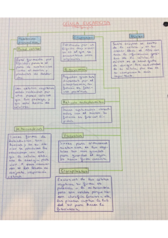 CreatePDFIMG5007.pdf