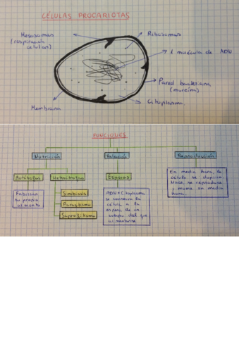 CreatePDFIMG5005.pdf