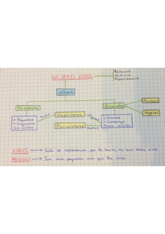 CreatePDFIMG5004.pdf