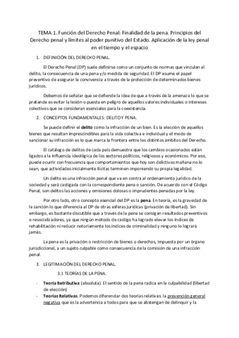 Tema-1-Derecho-penal.pdf